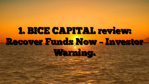 BICE CAPITAL