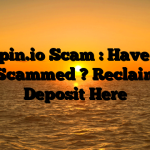 Firepin.io Scam : Have You Been Scammed ? Reclaim Your Deposit Here