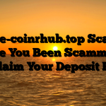 Bive-coinrhub.top Scam : Have You Been Scammed ? Reclaim Your Deposit Here