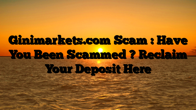 Ginimarkets.com Scam : Have You Been Scammed ? Reclaim Your Deposit Here