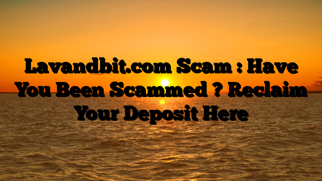 Lavandbit.com Scam : Have You Been Scammed ? Reclaim Your Deposit Here