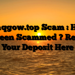 Pzmqgow.top Scam : Have You Been Scammed ? Reclaim Your Deposit Here