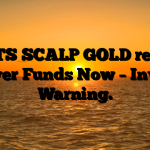 1. LETS SCALP GOLD review: Recover Funds Now – Investor Warning.