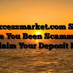 247excessmarket.com Scam : Have You Been Scammed ? Reclaim Your Deposit Here