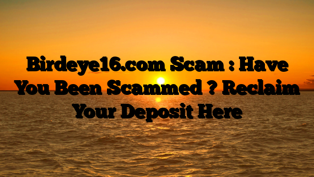 Birdeye16.com Scam : Have You Been Scammed ? Reclaim Your Deposit Here