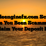 Tradeenginefx.com Scam : Have You Been Scammed ? Reclaim Your Deposit Here