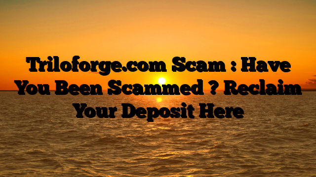 Triloforge.com Scam : Have You Been Scammed ? Reclaim Your Deposit Here