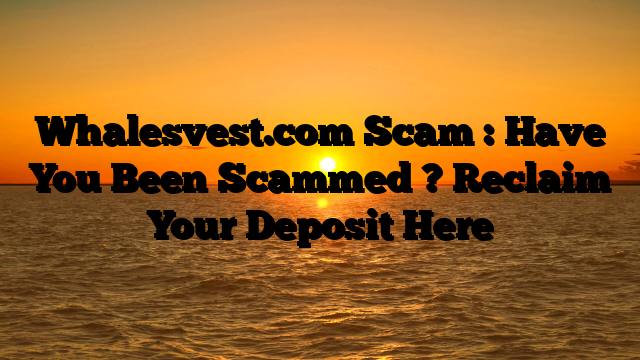 Whalesvest.com Scam : Have You Been Scammed ? Reclaim Your Deposit Here