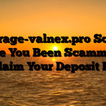Ancrage-valnex.pro Scam : Have You Been Scammed ? Reclaim Your Deposit Here