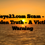 Birdeye23.com Scam – The Hidden Truth – A Victim’s Warning