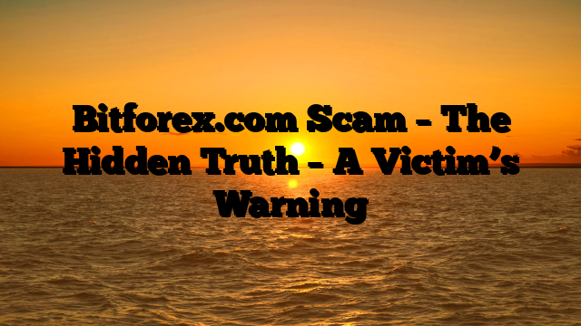Bitforex.com Scam – The Hidden Truth – A Victim’s Warning