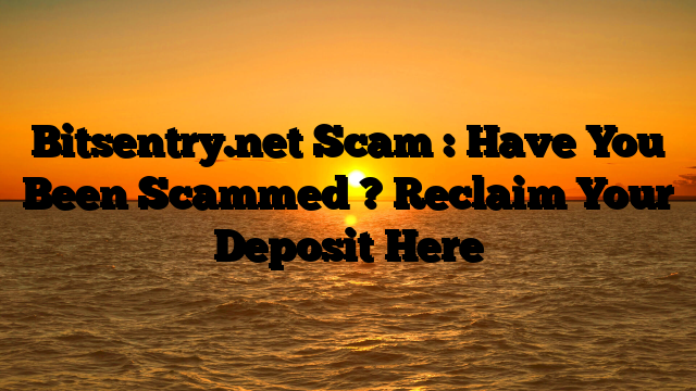 Bitsentry.net Scam : Have You Been Scammed ? Reclaim Your Deposit Here