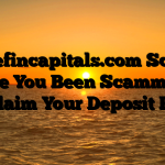 Lakefincapitals.com Scam : Have You Been Scammed ? Reclaim Your Deposit Here