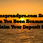 Learnspreadpro.com Scam : Have You Been Scammed ? Reclaim Your Deposit Here
