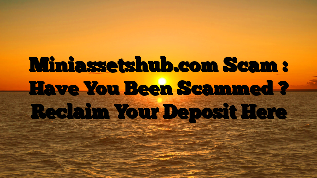 Miniassetshub.com Scam : Have You Been Scammed ? Reclaim Your Deposit Here