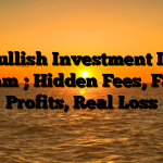 1. Bullish Investment Ique Scam ; Hidden Fees, Fake Profits, Real Loss