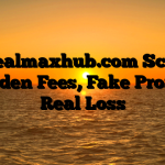 1. Realmaxhub.com Scam ; Hidden Fees, Fake Profits, Real Loss