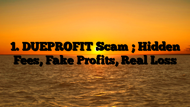 1. DUEPROFIT Scam ; Hidden Fees, Fake Profits, Real Loss