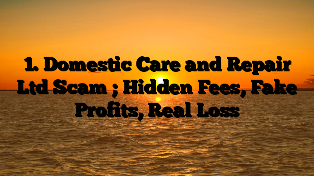 1. Domestic Care and Repair Ltd Scam ; Hidden Fees, Fake Profits, Real Loss