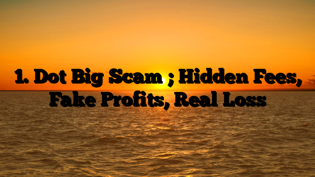 1. Dot Big Scam ; Hidden Fees, Fake Profits, Real Loss