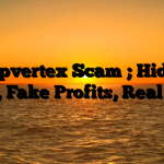 1. Pipvertex Scam ; Hidden Fees, Fake Profits, Real Loss