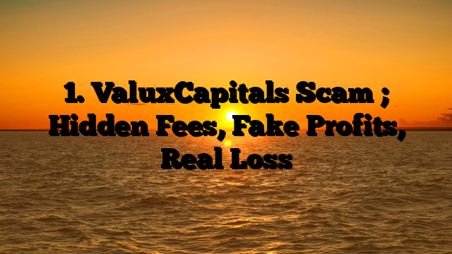 1. ValuxCapitals Scam ; Hidden Fees, Fake Profits, Real Loss