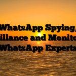 WhatsApp Spying,  Surveillance and Monitoring – WhatsApp Experts