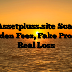 1. Assetpluss.site Scam ; Hidden Fees, Fake Profits, Real Loss