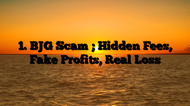 1. BJG Scam ; Hidden Fees, Fake Profits, Real Loss
