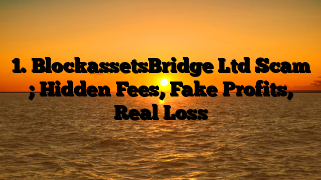 1. BlockassetsBridge Ltd Scam ; Hidden Fees, Fake Profits, Real Loss
