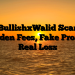 1. BullishxWalid Scam ; Hidden Fees, Fake Profits, Real Loss