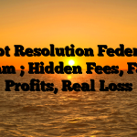 1. Debt Resolution Federation Scam ; Hidden Fees, Fake Profits, Real Loss