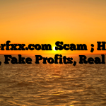1. Everfxx.com Scam ; Hidden Fees, Fake Profits, Real Loss