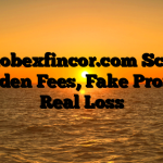 1. Globexfincor.com Scam ; Hidden Fees, Fake Profits, Real Loss