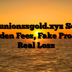 1. Reunionssgold.xyz Scam ; Hidden Fees, Fake Profits, Real Loss
