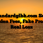 1. Standardglbk.com Scam ; Hidden Fees, Fake Profits, Real Loss