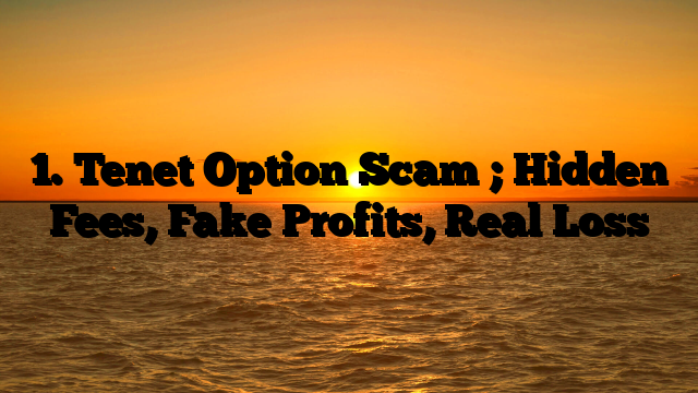 1. Tenet Option Scam ; Hidden Fees, Fake Profits, Real Loss