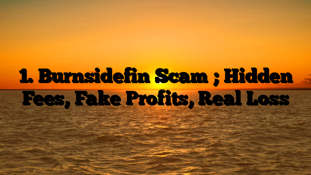 1. Burnsidefin Scam ; Hidden Fees, Fake Profits, Real Loss