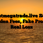 1. Fastmegatrade.live Scam ; Hidden Fees, Fake Profits, Real Loss