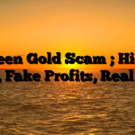1. Green Gold Scam ; Hidden Fees, Fake Profits, Real Loss