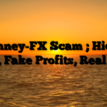1. Linney-FX Scam ; Hidden Fees, Fake Profits, Real Loss