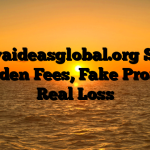 1. Novaideasglobal.org Scam ; Hidden Fees, Fake Profits, Real Loss
