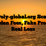 1. Poly-global.org Scam ; Hidden Fees, Fake Profits, Real Loss