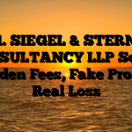 1. SIEGEL & STERN CONSULTANCY LLP Scam ; Hidden Fees, Fake Profits, Real Loss