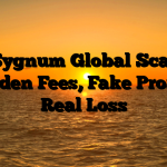 1. Sygnum Global Scam ; Hidden Fees, Fake Profits, Real Loss