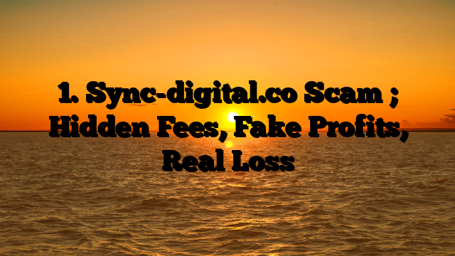 1. Sync-digital.co Scam ; Hidden Fees, Fake Profits, Real Loss