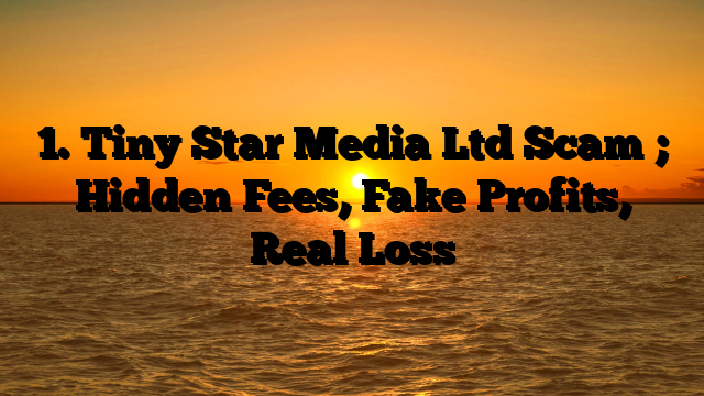 1. Tiny Star Media Ltd Scam ; Hidden Fees, Fake Profits, Real Loss