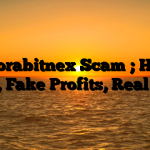 1. Valorabitnex Scam ; Hidden Fees, Fake Profits, Real Loss