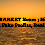1. Teslawealthdynamics.com Scam ; Hidden Fees, Fake Profits, Real Loss