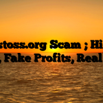 1. Kistoss.org Scam ; Hidden Fees, Fake Profits, Real Loss